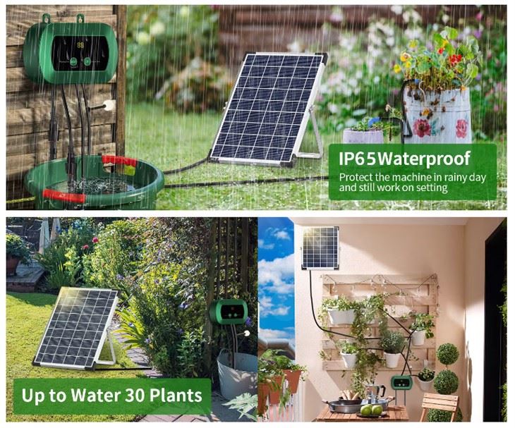 Solares Pflanzenbewässerungssystem